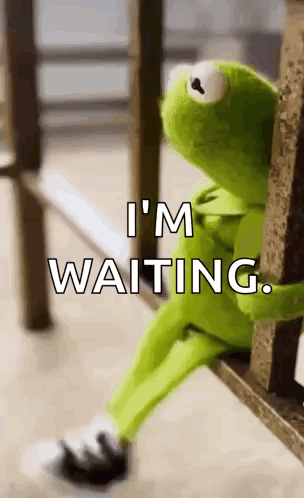 Kermit Waiting GIF