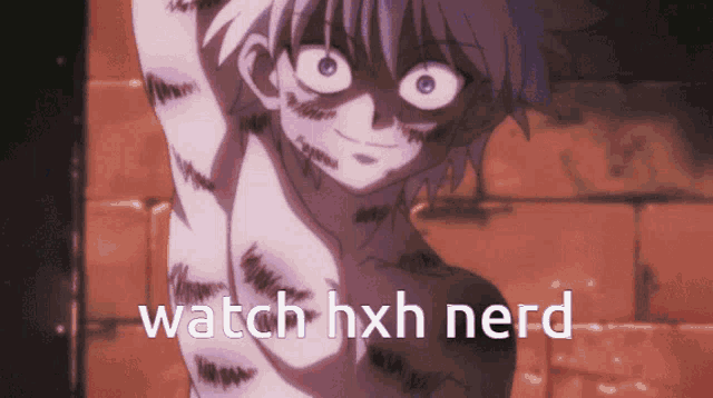 Killua Hxh GIF