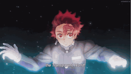 Kimetsu No Yaiba Demon Slayer GIF