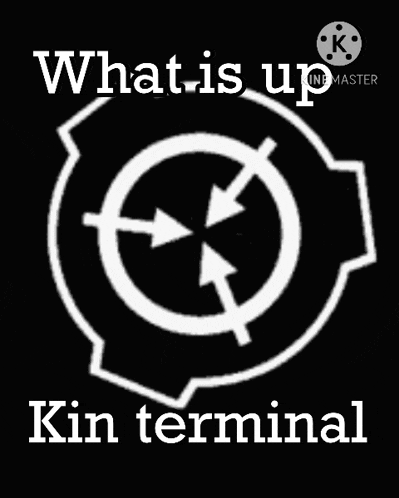 Kin Terminal GIF