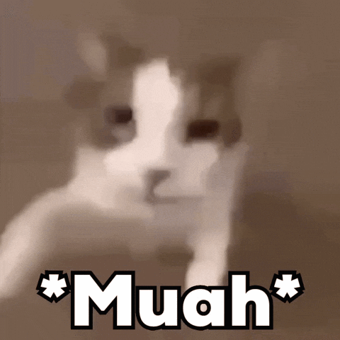 Kiss Cat GIF
