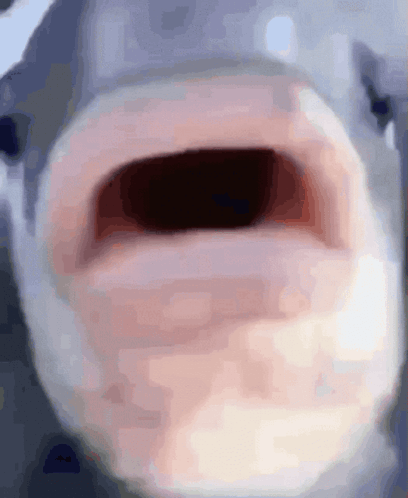 Kissfish GIF