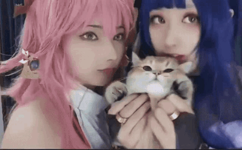 Kissing Cat Cosplay GIF