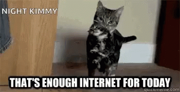 Kitten Mother GIF
