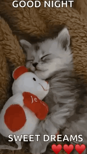 Kittensleep Cute GIF