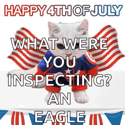 Kitty Cat GIF