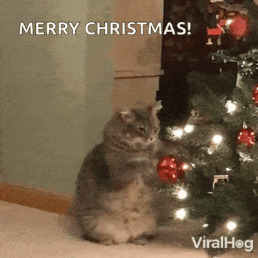 Kitty Claws Christmas Tree Cat Playing With Christmas Tree GIF