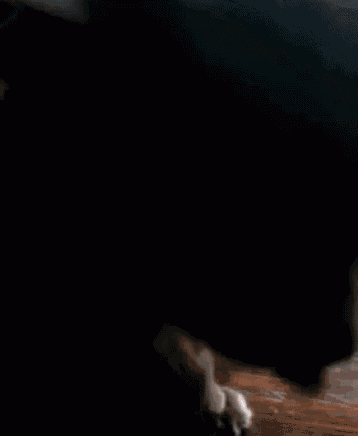 Kitty GIF