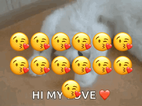 Kitty Kitten GIF
