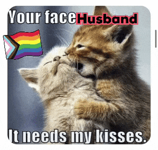 Kitty Kitty Cat GIF