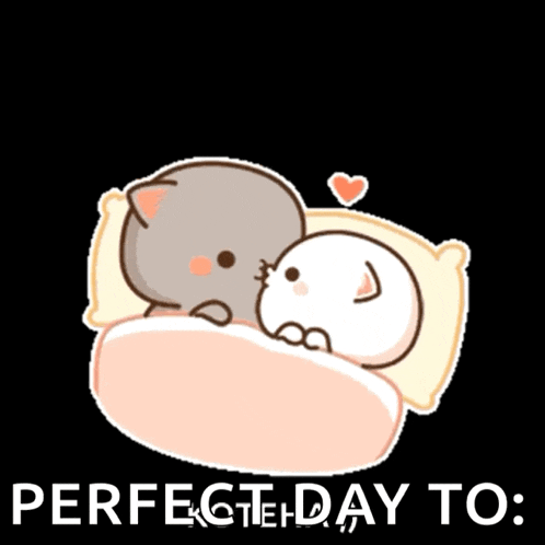 Kittycass Peach And Gomacat GIF