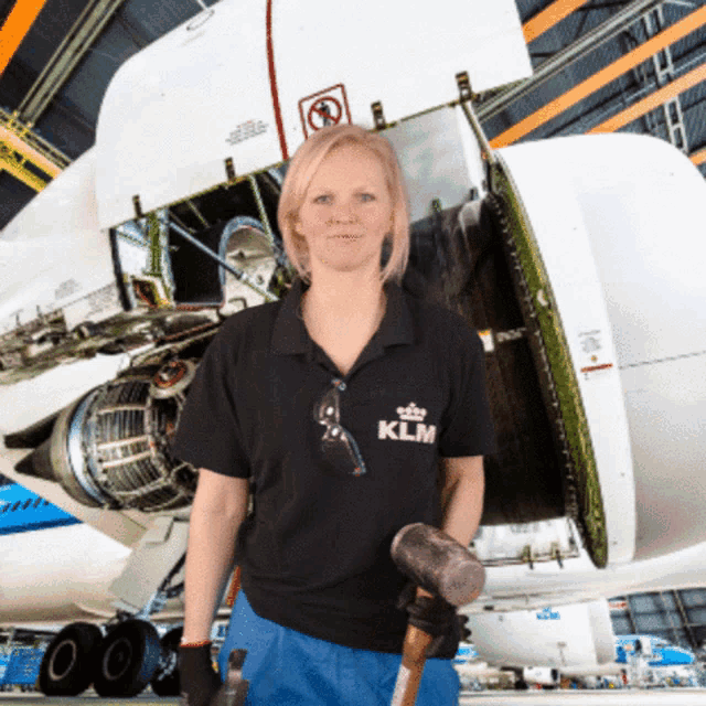 Klm Aviation GIF