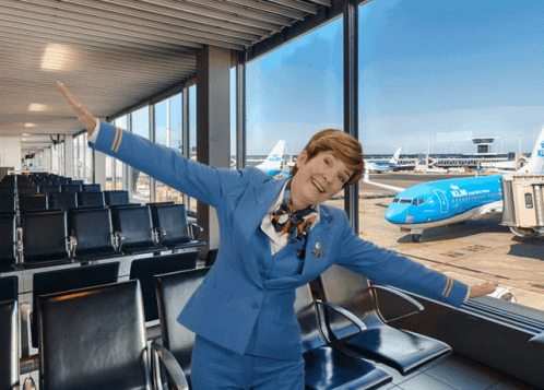 Klm Aviation GIF