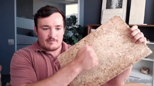 Knocking James Ferrier GIF