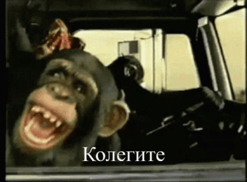 Kolegite Bulgaria GIF
