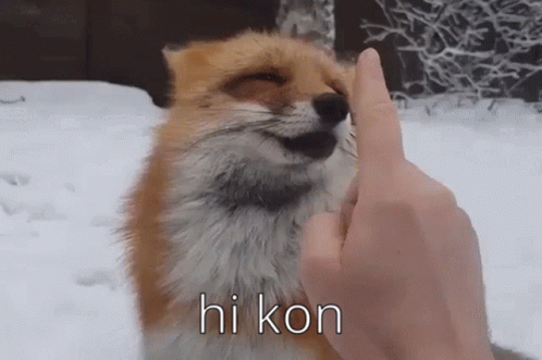 Kon Hi GIF