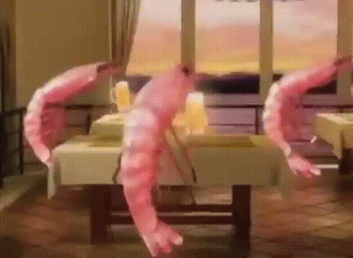 Krevetki GIF