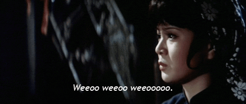 Kung Pow Kung Pow Enter The Fist GIF