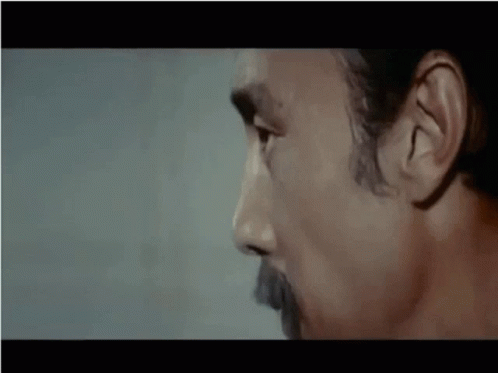 Kung Pow No GIF