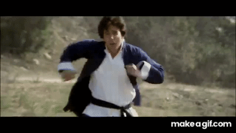 Kung Pow Tiny Net GIF