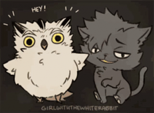Kuroo Bokuto GIF