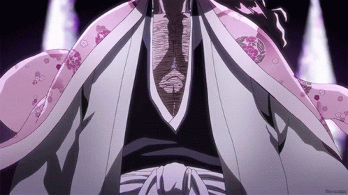 Kyoraku Shunsui Head Captain GIF