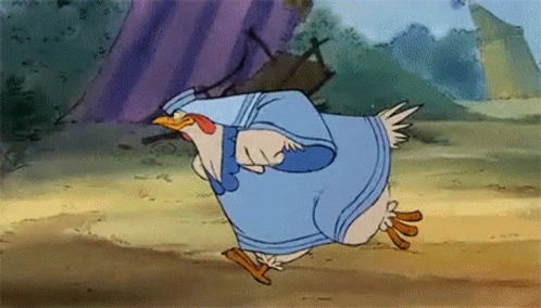 Ladykluck Chicken GIF