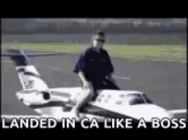 Landed Fly GIF