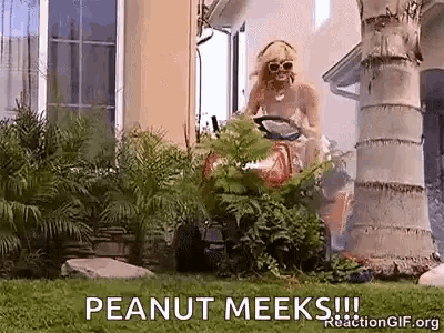 Landscaping Trying To Landscape GIF
