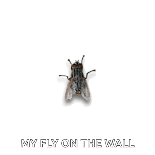Laron Lalat GIF