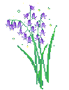 Lavender Wildflowers Sticker