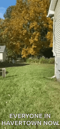 Lawnmower Garden GIF