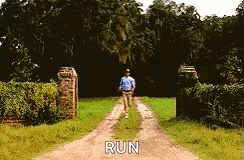 Leaving Forrest Gump GIF