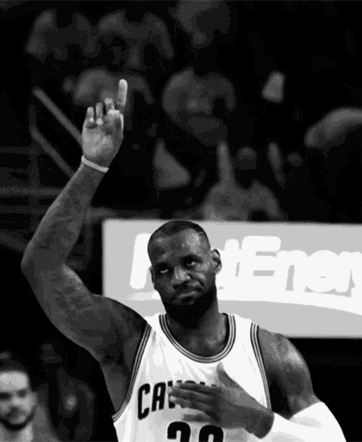 Lebron James GIF