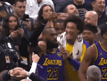 Lebron Lebron James GIF