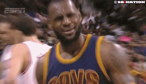 Lebron Wtf GIF
