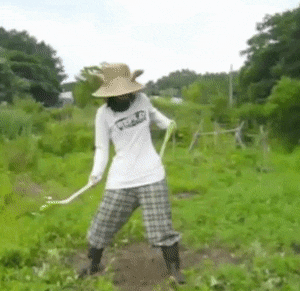 Leek Dance Leek Girl GIF