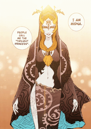 Legend Of Zelda Twilight Princess GIF