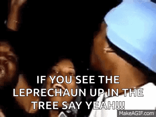 Leperchaun Perfect GIF