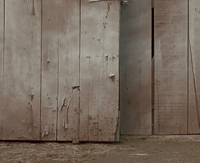 Leprechaun Movie GIF