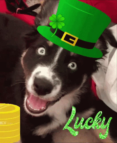 Leprechaun Saint GIF