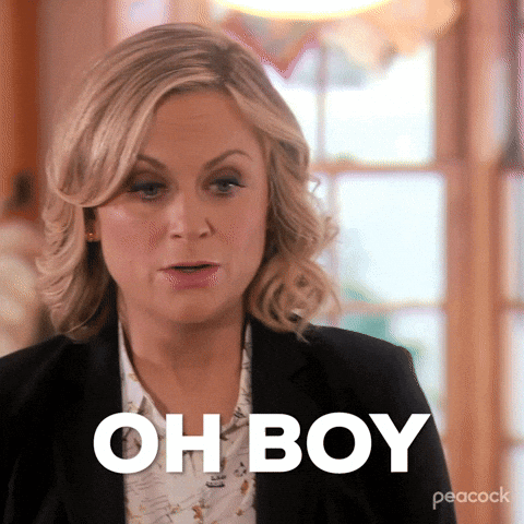 Leslie Knope Parks And Rec GIF