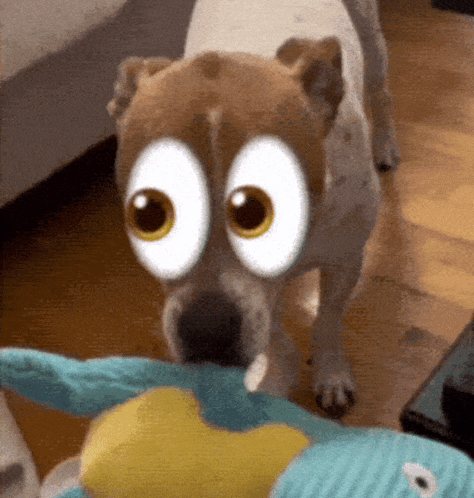 Lets Take A Look Eye Emoji GIF