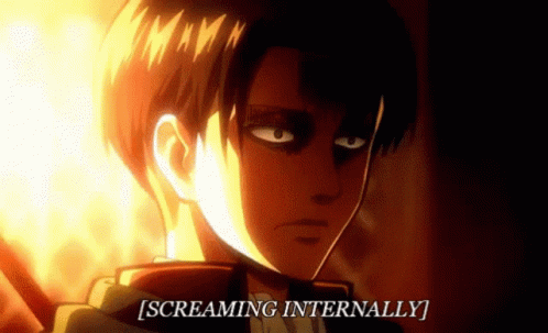 Levi Ao T GIF