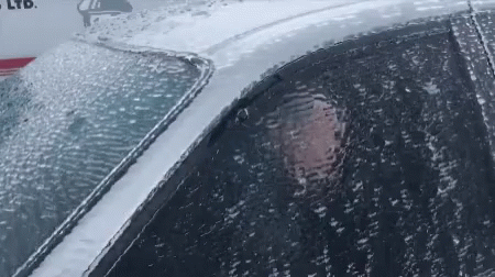 Lietuviski Funny Boy GIF