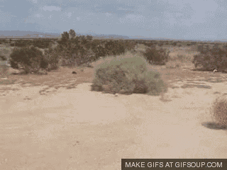 Liffey GIF
