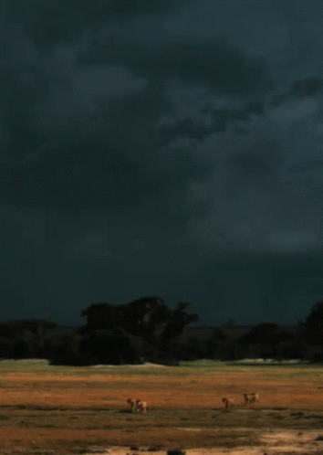 Lightning From Http://Headlikeanorange.Tumblr.Com/ GIF