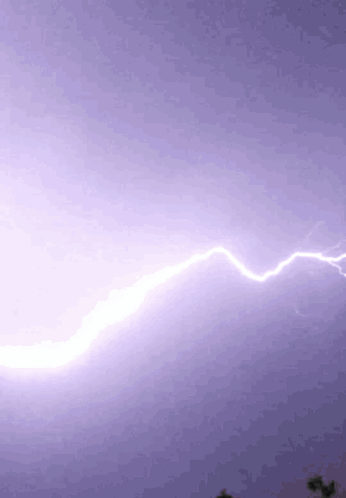 Lightning Momo'S Sound Diary GIF