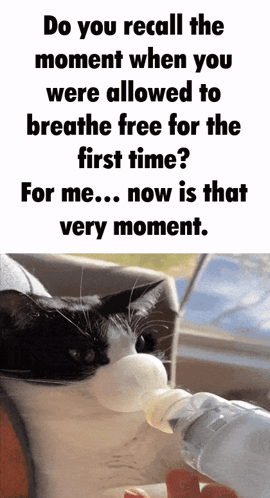 Limbus Limbus Ego GIF