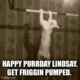 Lindsaypurrday GIF